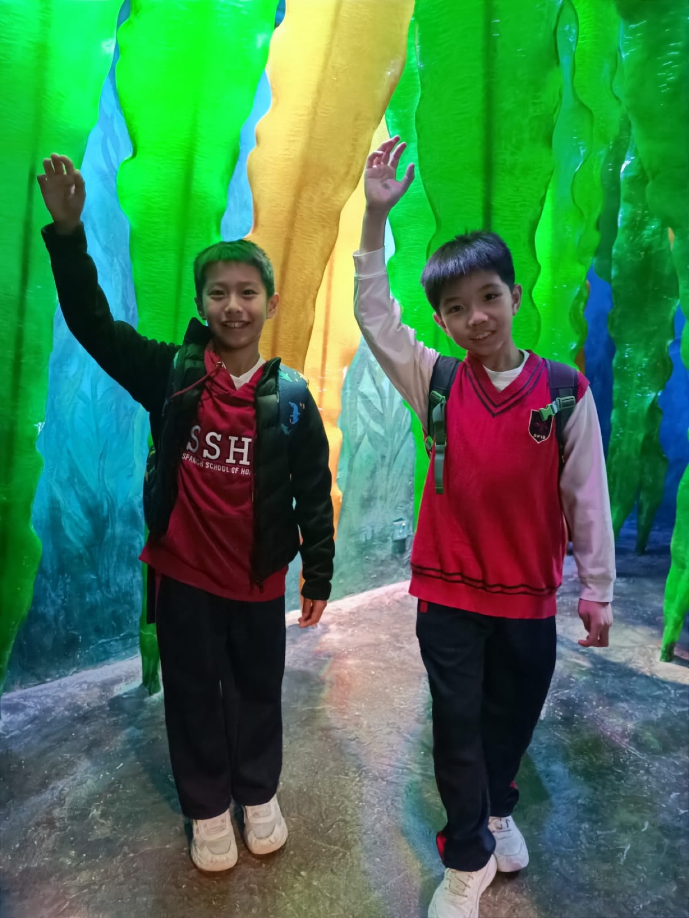 SSHK students learning together at Ocean Park